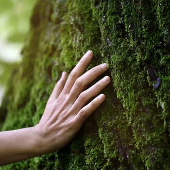 Five ways your office can become more eco-friendly