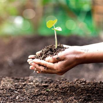 Five ways to create an eco-friendly office nature