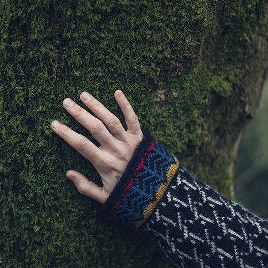 hand in a tree